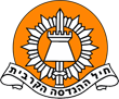 לוגו חיל ההנדסה הקרבית